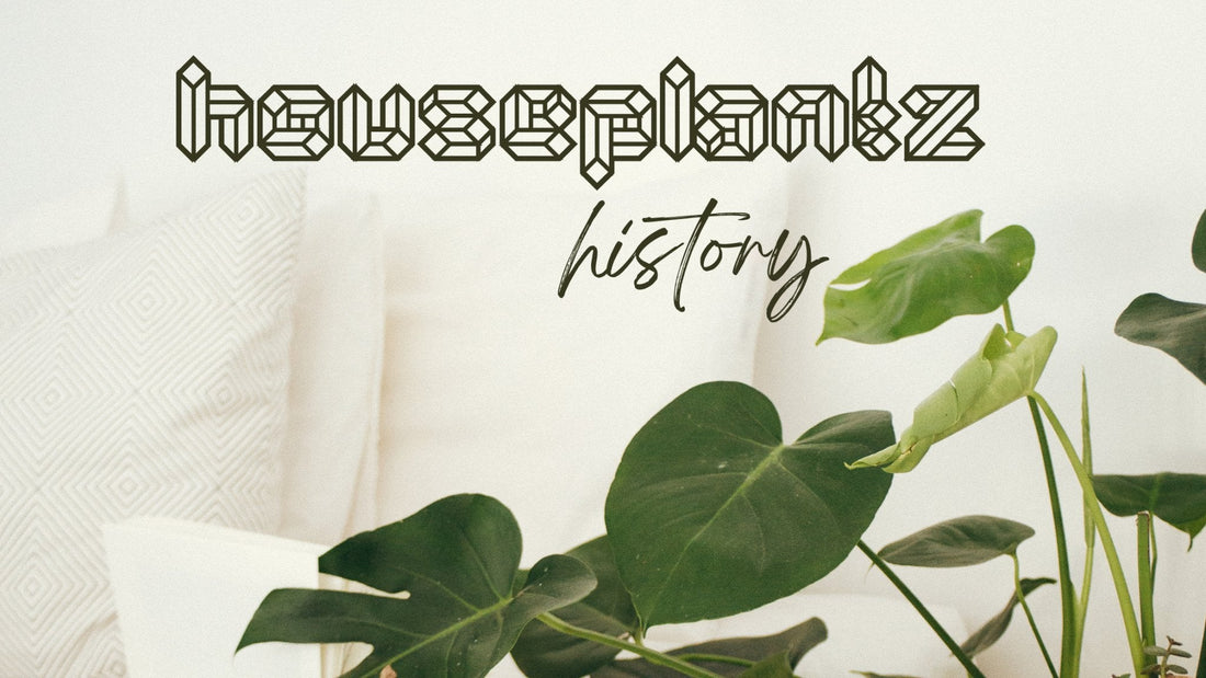 The History of Houseplants.