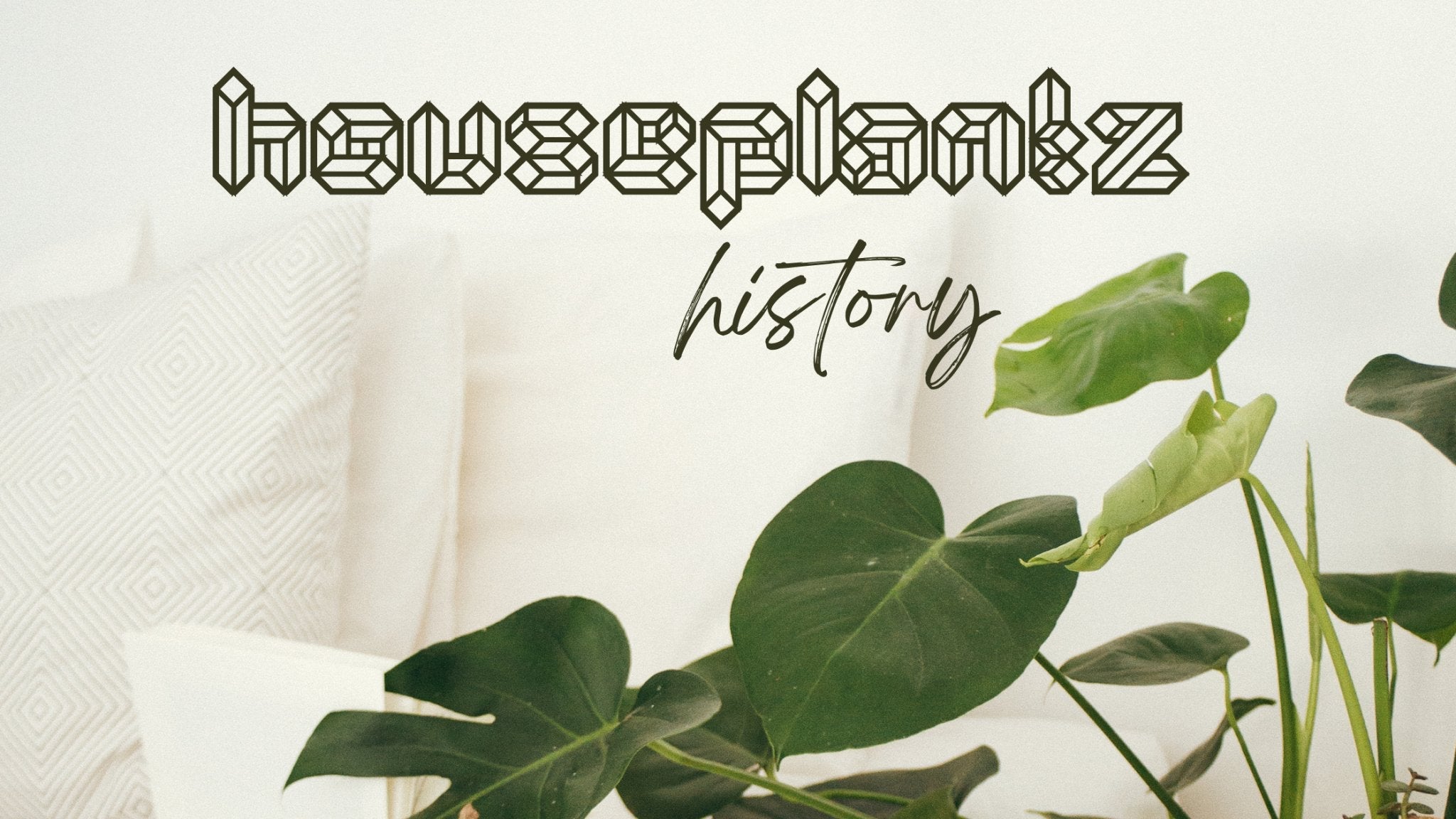 The History of Houseplants.