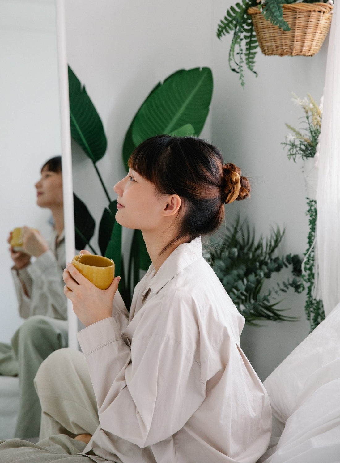 Top Ten Low Maintenance Houseplants for Beginners.