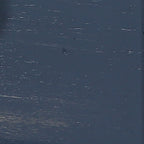 23958128