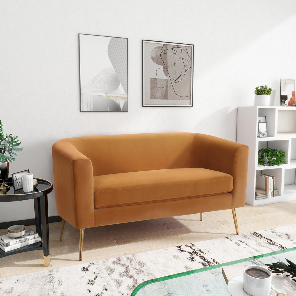 Velvet Loveseat with Modern Design - Elegant Comfort.