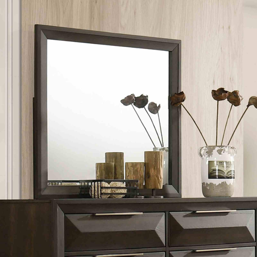 Transitional Dresser with Mirror for Stylish Storage.