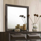 Transitional Dresser with Mirror for Stylish Storage.