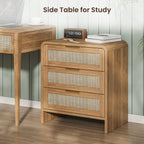Rattan Nightstand with 3 Drawers for Modern Bedrooms.