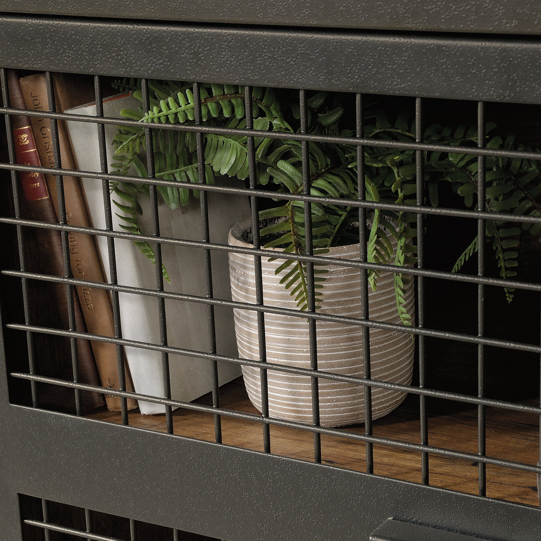 Interior shelf of Industrial Brown TV Credenza showing decorative storage with books and plants behind mesh metal doors.
