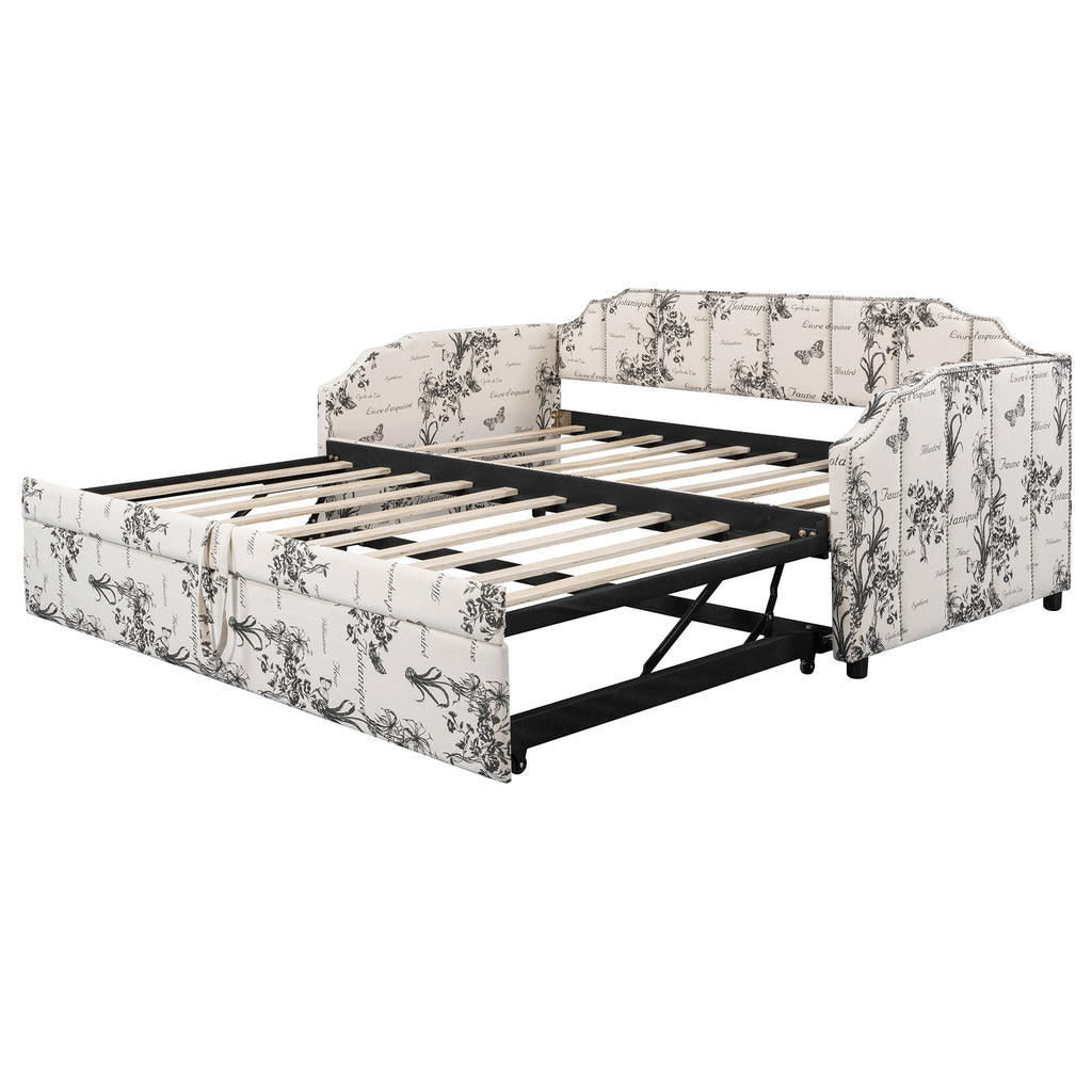 23829977