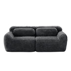 Front view of Dark Grey 2-Seater Modular Sofa featuring plush upholstery and ergonomic backrest cushions.