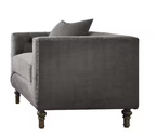 Sidonia Gray Velvet Chair with Pillow.