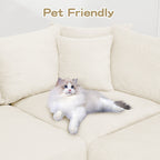 23961509