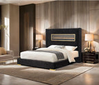 Contemporary Style Black Color 1pc Queen Size Bed Upholstered Fabric Bedframe Bedroom Furniture 3D Fireplace HB.