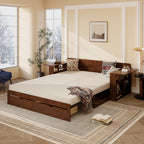 Espresso Queen Multifunctional Daybed in bed mode with open storage and removable desk, perfect for small apartments.