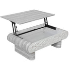 Lift Top Coffee Table with Storage - Modern Design.