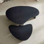 2-Piece Modern Irregular Coffee Table Set for Your Living Room.