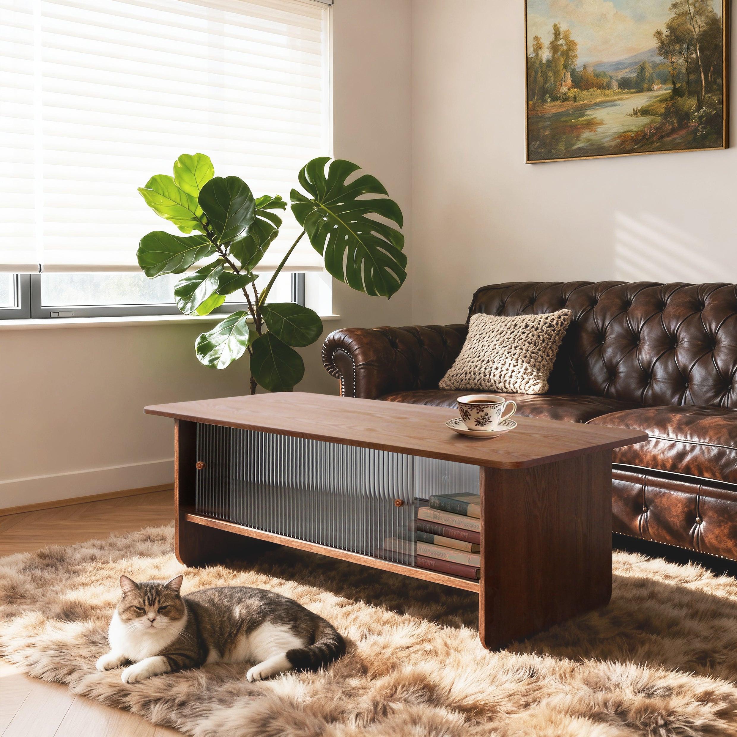 47-inch modern minimalist coffee table with storage.