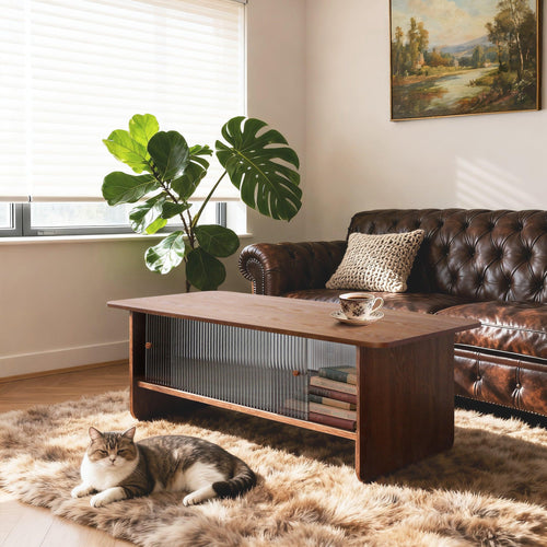 47-inch modern minimalist coffee table with storage.