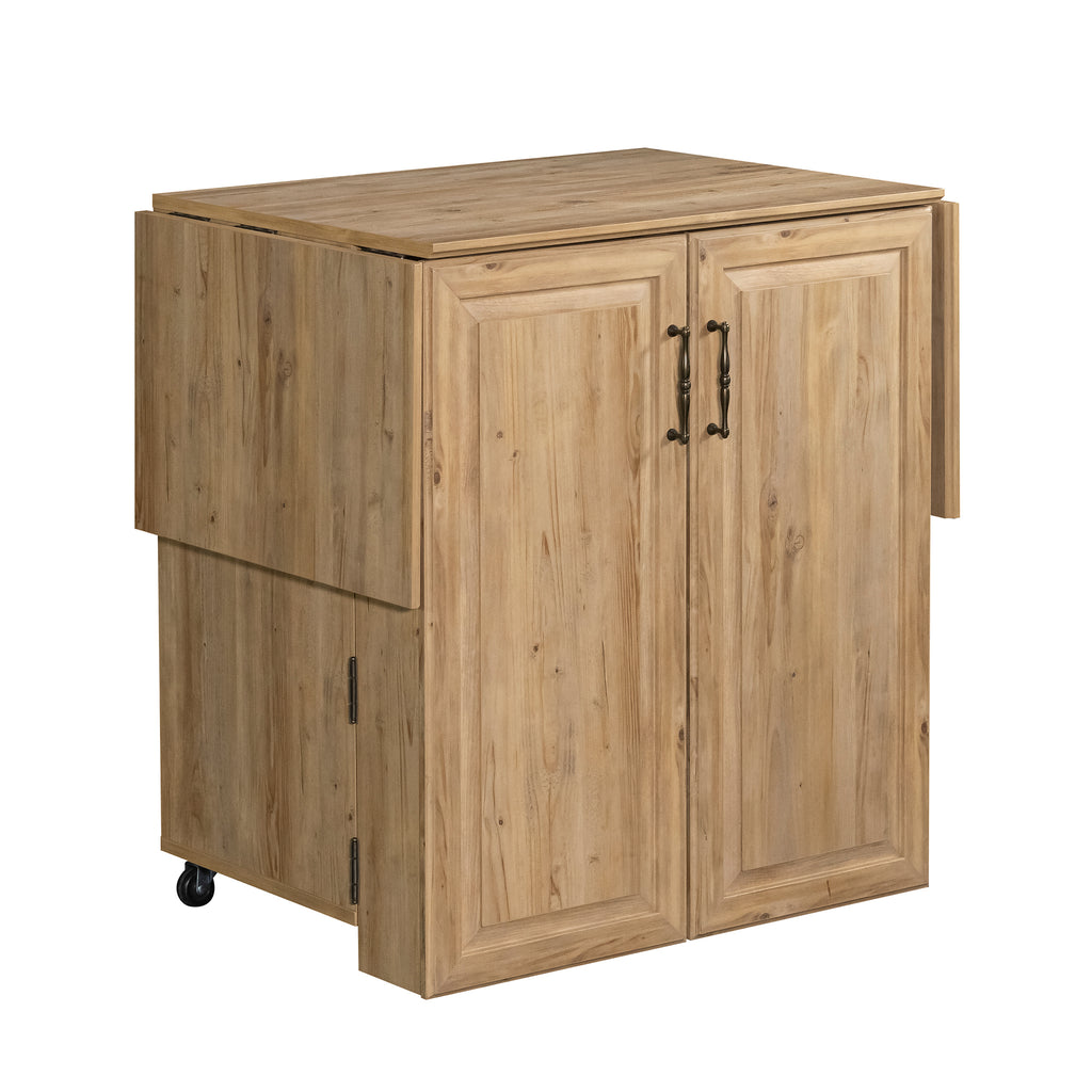 Craft Cart with Storage for Home in brown finish featuring closed swing-out doors and compact design for versatile storage use.