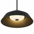 14 inch Diameter Integrated LED Black Pendant.