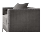 Sidonia Gray Velvet Chair with Pillow.
