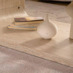 Modern Light Wood Coffee Table with Open Storage.