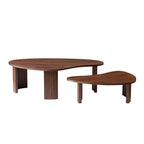 2-Piece Modern Irregular Coffee Table Set for Living Room.