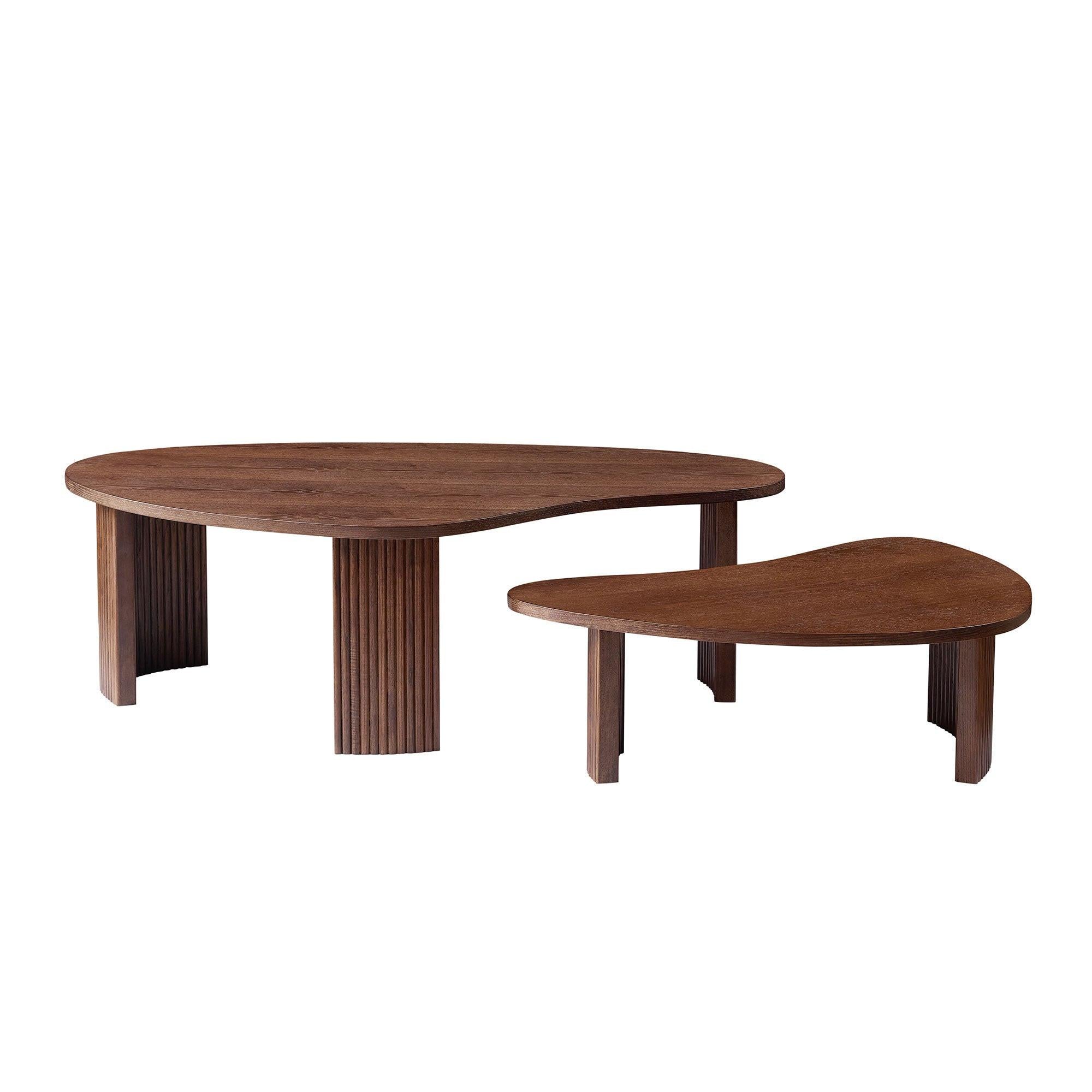2-Piece Modern Irregular Coffee Table Set for Living Room.