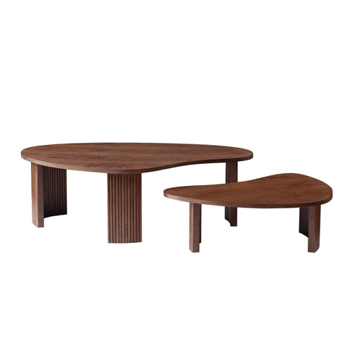 2-Piece Modern Irregular Coffee Table Set for Living Room.