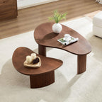 2-Piece Modern Irregular Coffee Table Set for Living Room.
