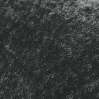 24400577