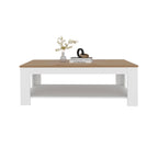 Modern Rectangular Coffee Table with Lower Shelf.