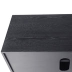 Detail of black wood veneered surface on TV console, showcasing natural wood grain texture and high-quality lacquered finish.