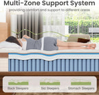 Multi-zone support system of King Size Hybrid Mattress showing pressure relief for back, side, and stomach sleepers with ergonomic alignment.
