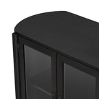 Stylish Black Storage Cabinet for Living Room.