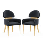 Set of 2 contemporary black dining arm chairs with gold stainless steel legs, designed for stylish and modern dining spaces.