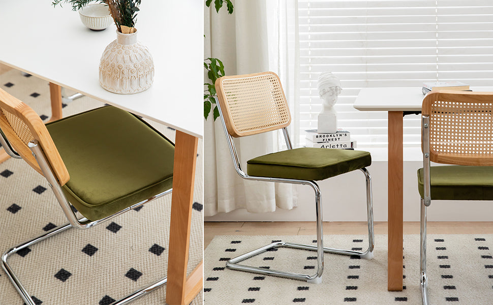 Alice Mid Century Modern Dining Chairs Set of 2