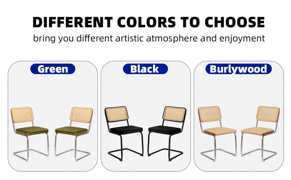 Alice Mid Century Modern Dining Chairs Set of 2