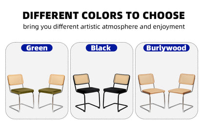 Alice Mid Century Modern Dining Chairs Set of 2