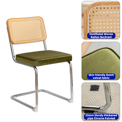 Alice Mid Century Modern Dining Chairs Set of 2