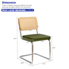 Alice Mid Century Modern Dining Chairs Set of 2