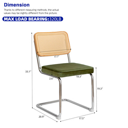 Alice Mid Century Modern Dining Chairs Set of 2