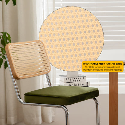 Alice Mid Century Modern Dining Chairs Set of 2