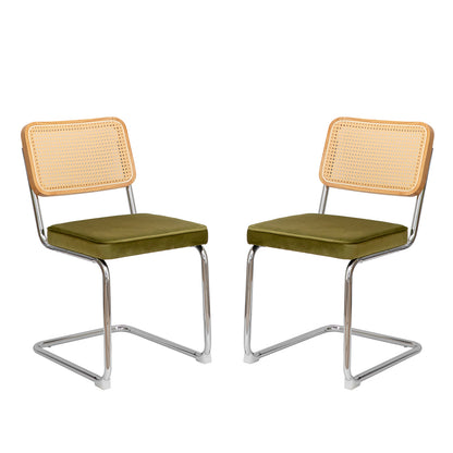 Alice Mid Century Modern Dining Chairs Set of 2