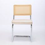 Alice Mid Century Modern Dining Chairs Set of 2