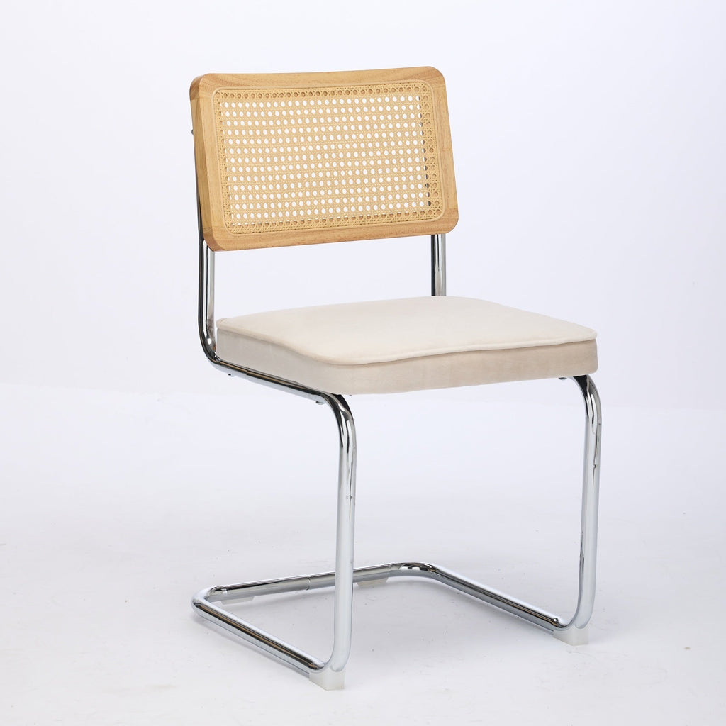 Alice Mid Century Modern Dining Chairs Set of 2