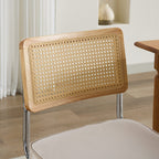 Alice Mid Century Modern Dining Chairs Set of 2