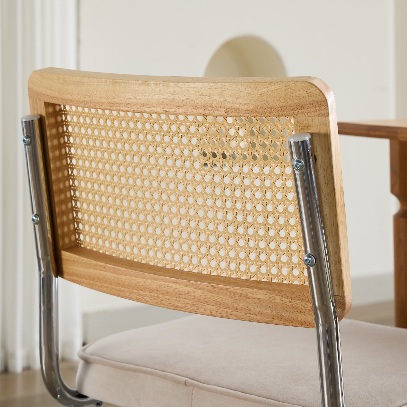 Alice Mid Century Modern Dining Chairs Set of 2