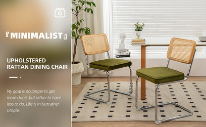 Alice Mid Century Modern Dining Chairs Set of 2