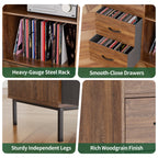 Record Player Stand with Adjustable Shelves, Holds 350+ Vinyls, Media Console with Speaker Shelf & 2 Drawers, 27.6' Turntable TV Stand for Living Room, Bedroom, Some Assembly Required Media Console