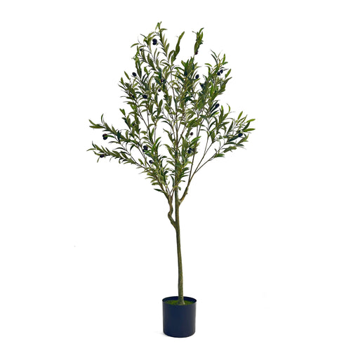 Classic 5-Foot Green Iron Olive Tree Design.