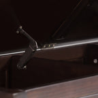 Connaught - Storage Bench Trunk - Dark Chestnut Brown