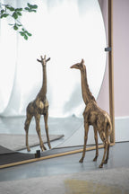 32x1x32" Poppy Mirror with Gold Metal Frame Contemporary Design for Bathroom, Entryway Wall Decor - Groovy Boardz